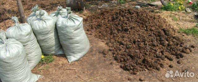 Навоз, перегной, земля