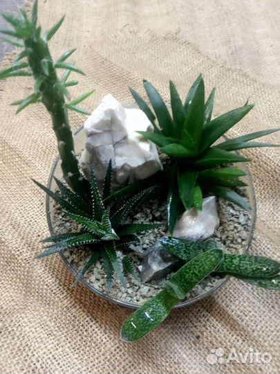 Флорариумы