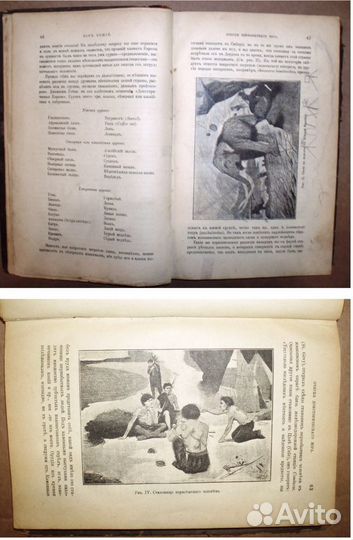 История первобытного человека В иллюстрация 1897г