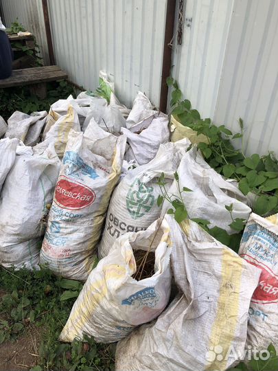 Лошадиный навоз