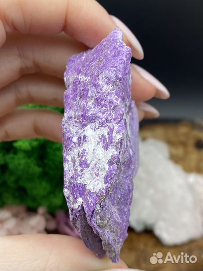 Стихтит коллекционный