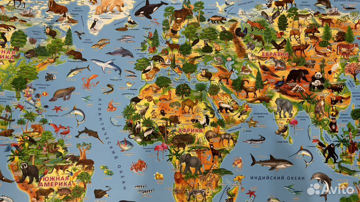 Карта животного и растительного мира