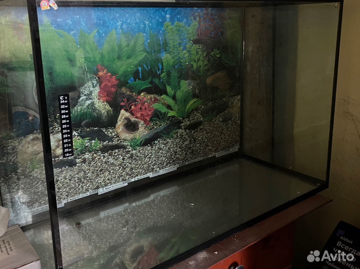 Аквариум