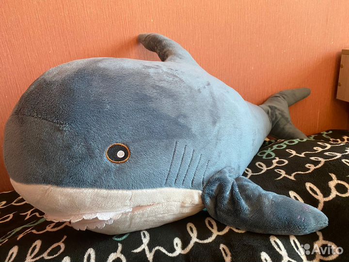 Акула большая