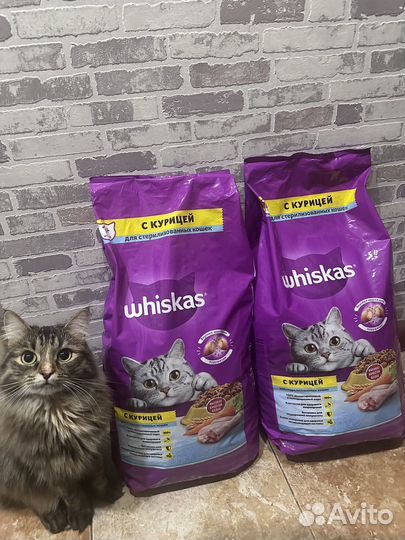Whiskas 5кг (с курицей)