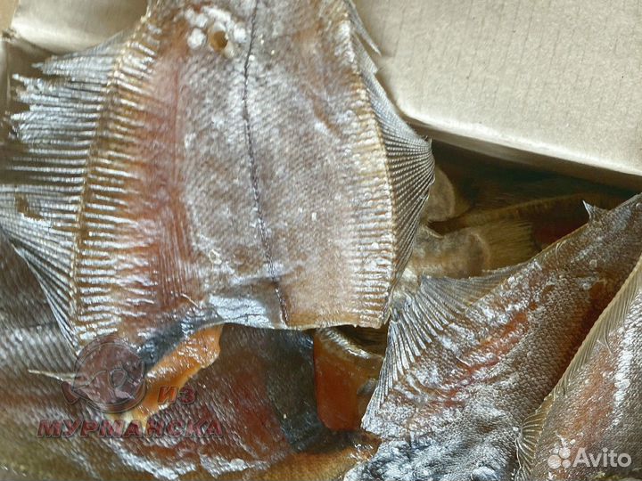 Камбала ерш