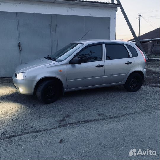 Каркасные сетки на LADA Kalina