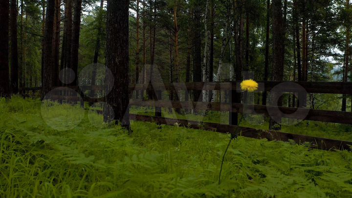 Участок 15 сот. (ИЖС)