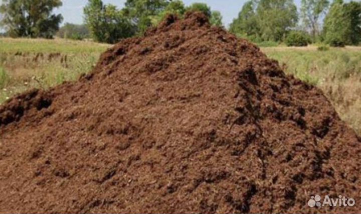 Перегной 5 лет