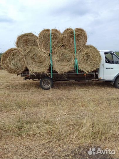 Сено в рулонах