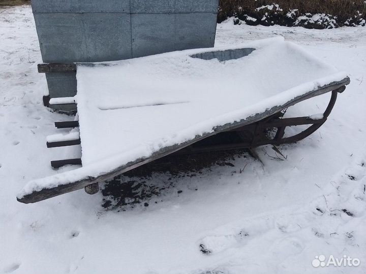 Сани