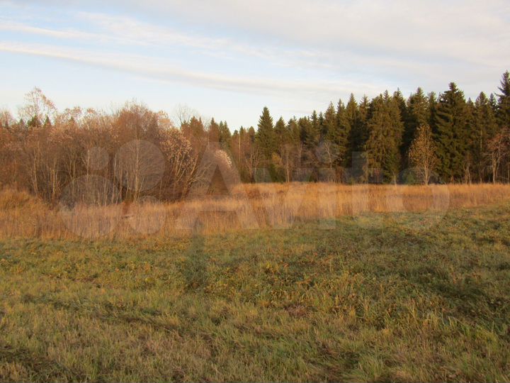 Участок 15 сот. (ИЖС)