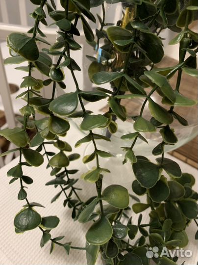 Искусственные растение