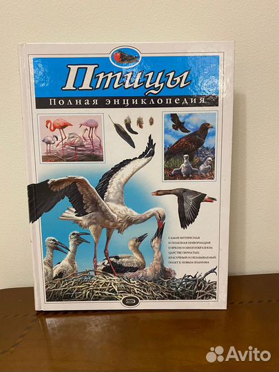 Птицы - полная энциклопедия