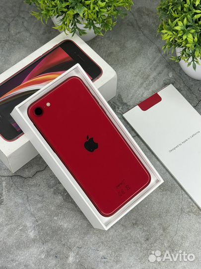 iPhone SE (2020), 64 ГБ