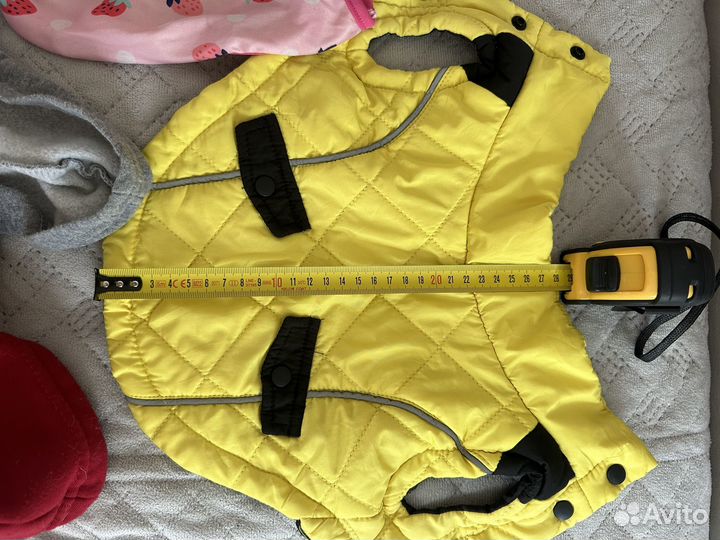 Одежда для собак