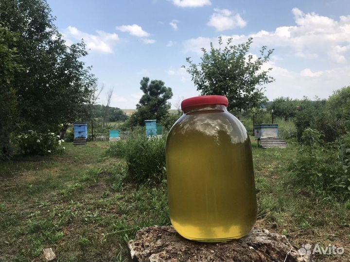 Авито белгород продукты