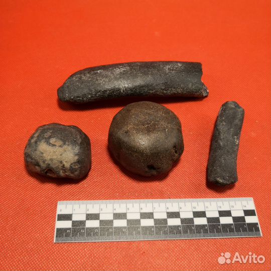 Окаменелость. Кости кита Цетотерия