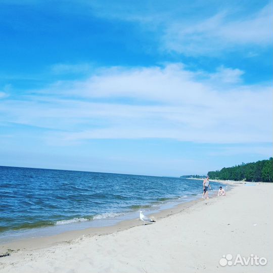 Бухгалтер оператор 1С