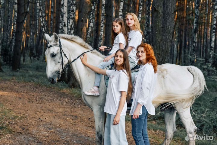 Прогулки на лошадях, конные прогулки,прокат лошади