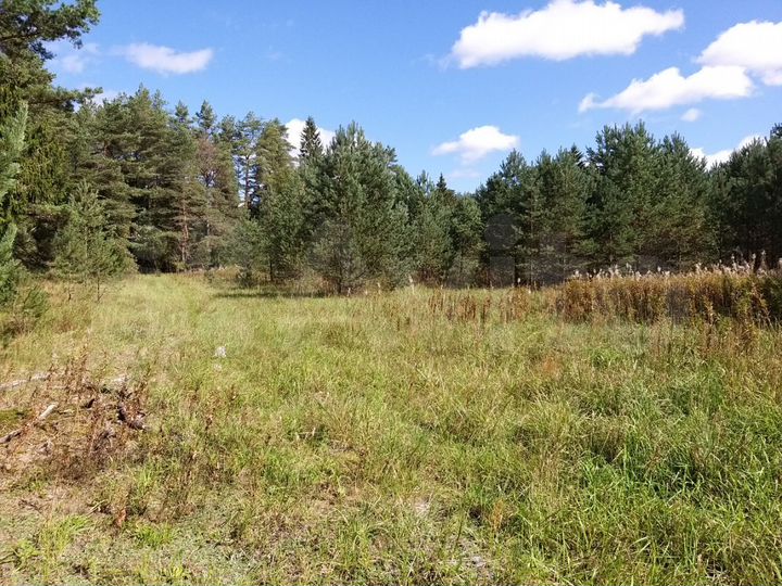 Участок 4,08 га (СНТ, ДНП)