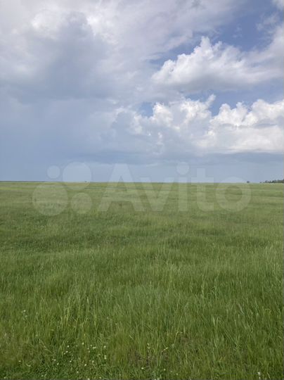 Участок 140 га (СНТ, ДНП)