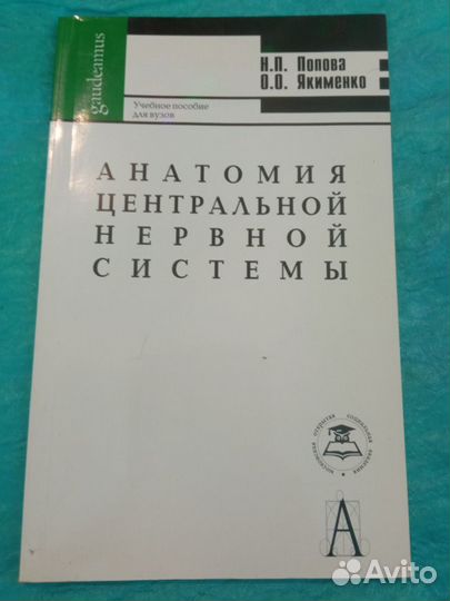 Анатомия центральной нервной системы