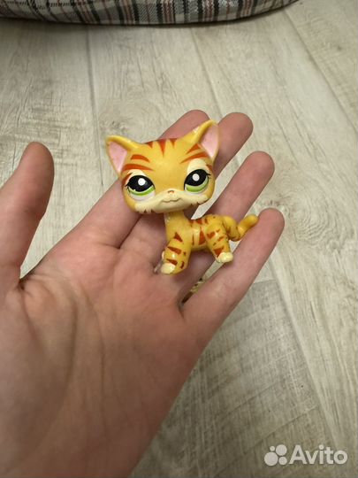 Little Pet shop