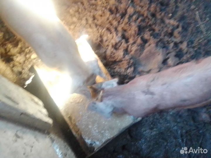 Поросёнок Дирог