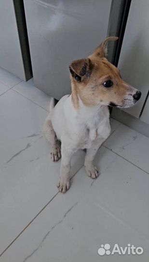 В добрые руки малыш