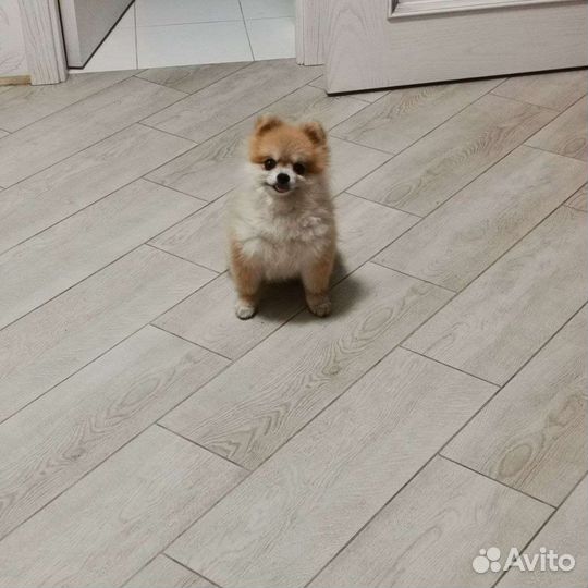 Предлагаем вязку