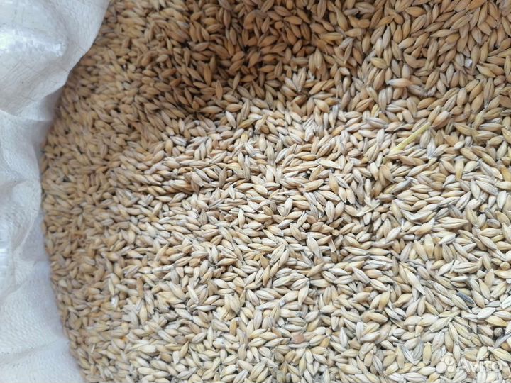 Карма сельхоз животным