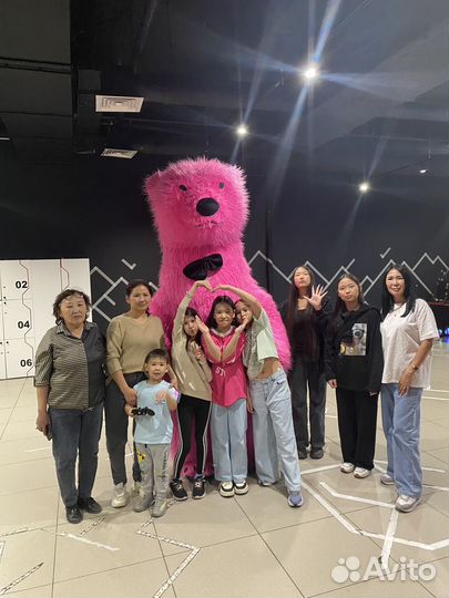 Мишки Экспресс поздравления