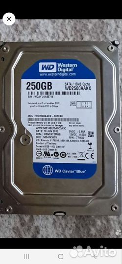 Жесткий диск WD 250Gb