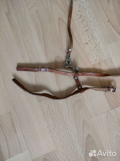 Поводок для маленьких собак или некрупного кота