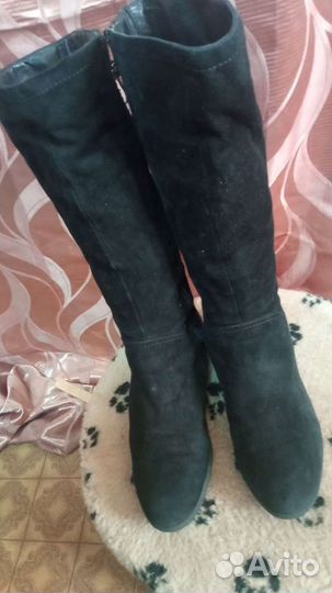 Сапоги замшевые