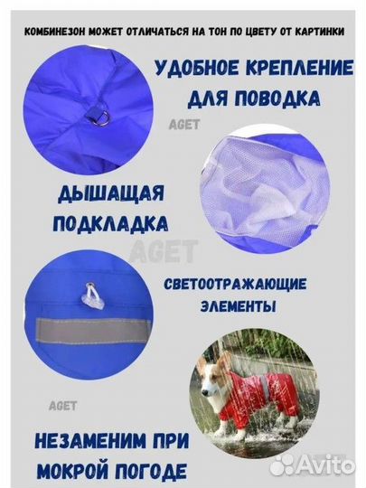 Одежда для животных