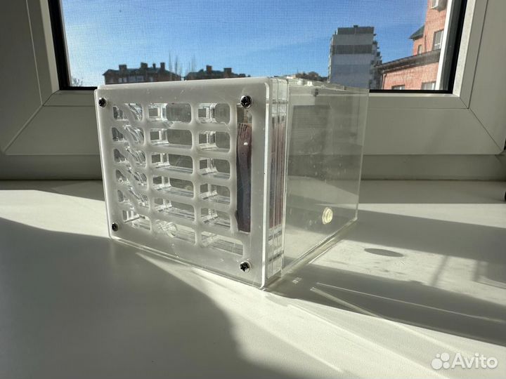 Муравьиная ферма