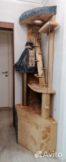Домик для кошки с туалетом б/у
