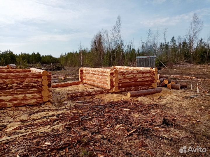 Строительство, срубы