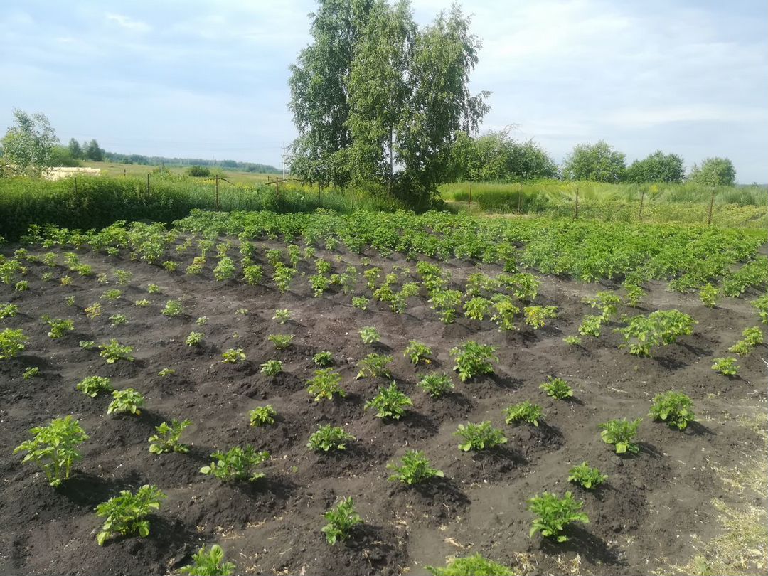 Купить дом или коттедж, Каменск-Уральский, Курганская область, Катайский  р-н, д. Чуга, 60.0 м2, 1000000р - объявление №3068761 на Nedvy.ru