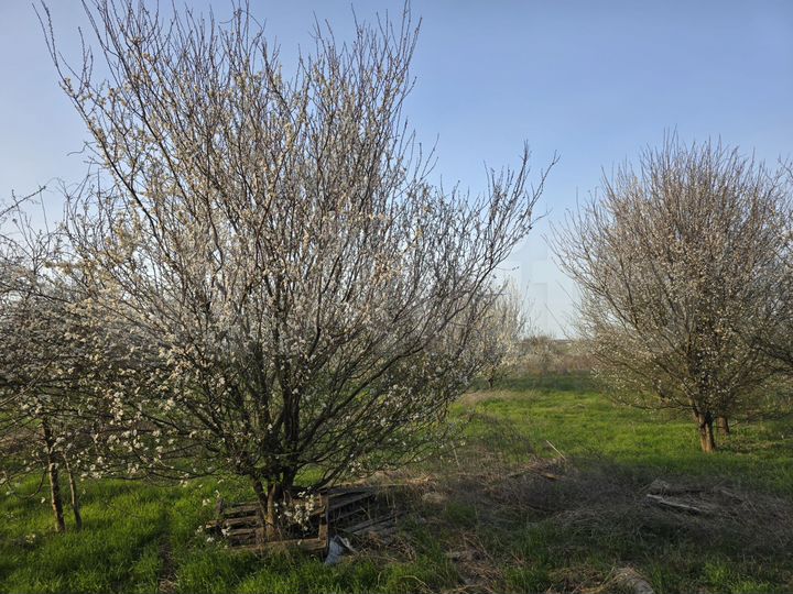 Комната 10 м² в 1-к., 2/2 эт.