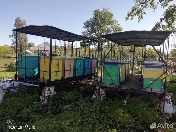 Качевая пасека (с пчелами) с Уазом 31512