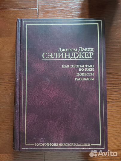 Сэлинджер. Над пропастью во ржи
