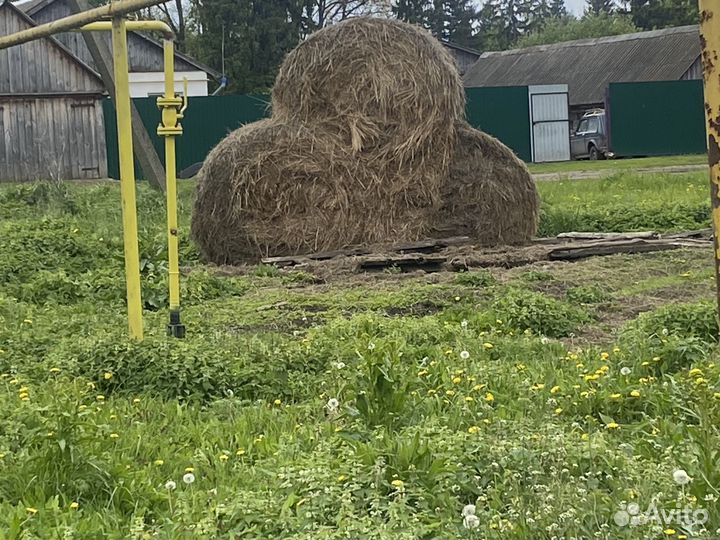 Сено в тюках