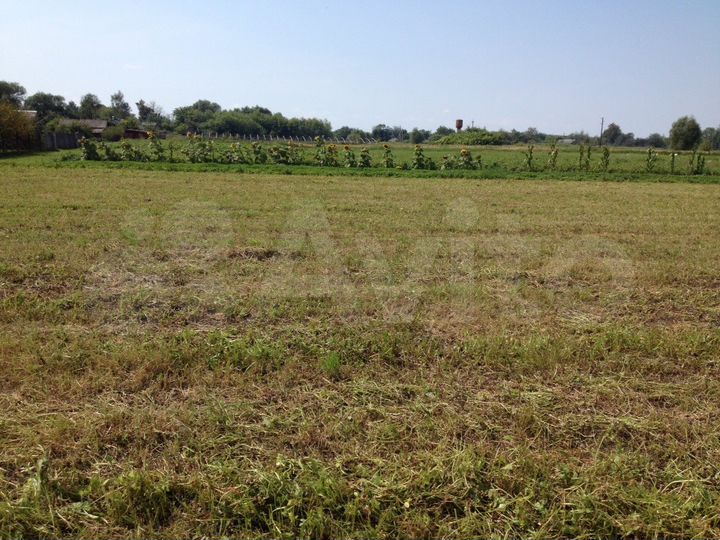 Участок 59 сот. (ИЖС)