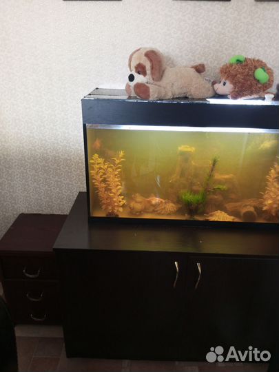 Аквариум