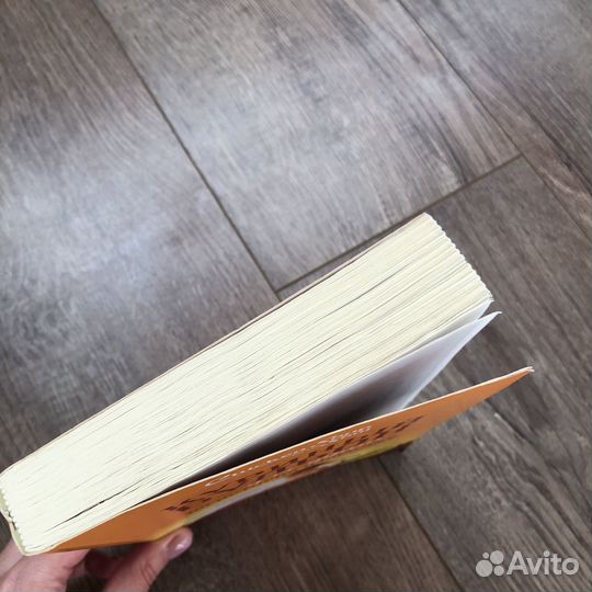 Книга куриный бульон для души