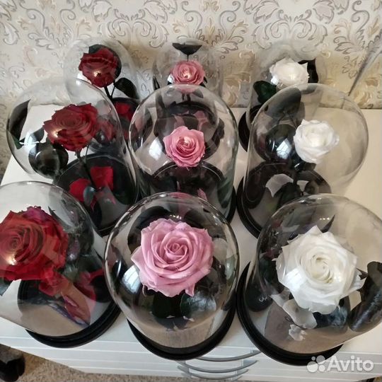 Живая роза в колбе