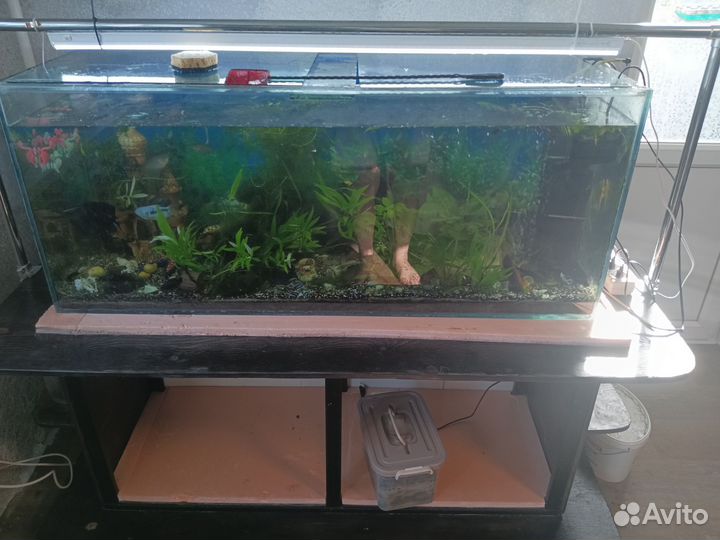 Аквариум с тумбой 240